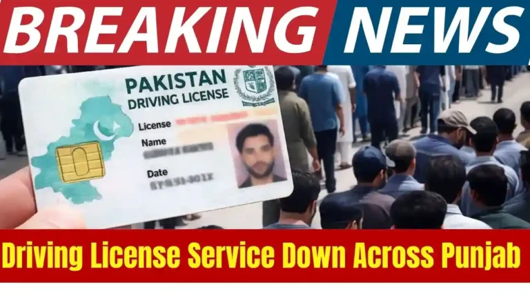 Driving License Service Down Across Punjab — Citizens Face Major Delays