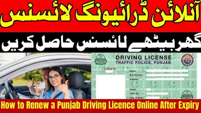 How to Renew a Punjab Driving Licence Online After Expiry – Latest Update 2025