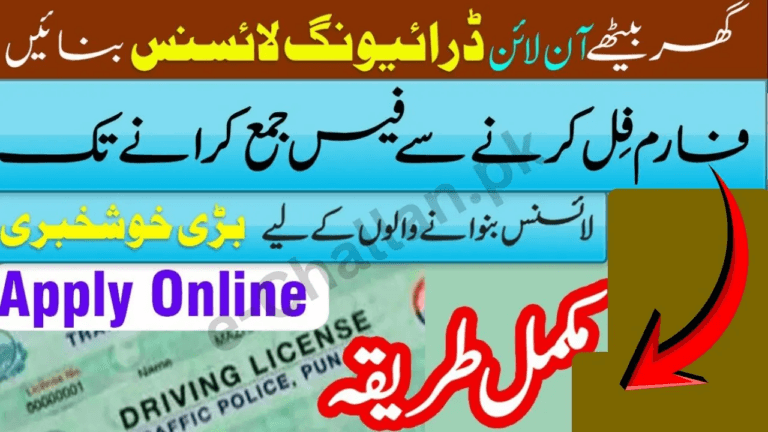 Learning Driving License Online Apply 2025 (Punjab, Sindh & Islamabad)