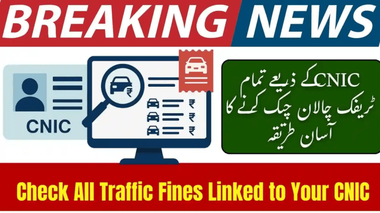 How to Check All Traffic Fines Linked to Your CNIC (Batch Lookup) — 2025 Guide