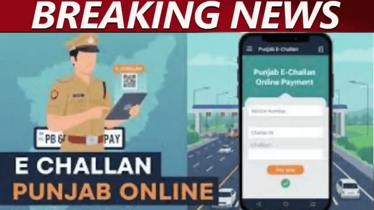 How to Pay Multiple Punjab e-Challans in One Transaction (2025 Complete Guide)