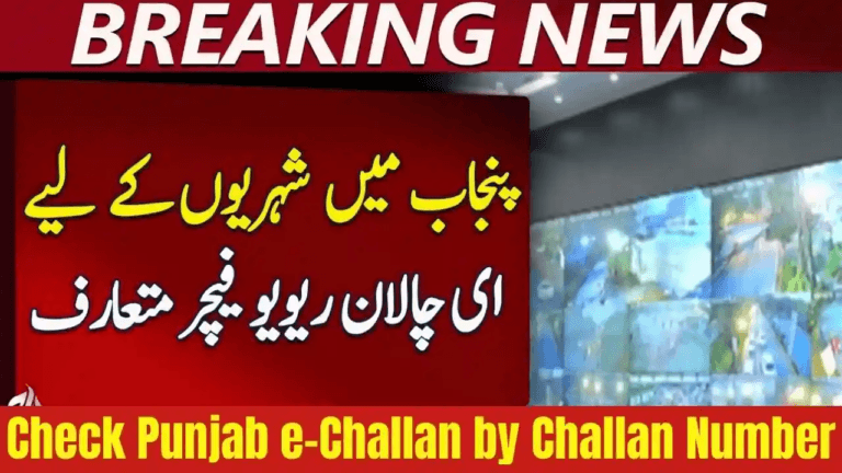 How to Check Punjab e-Challan by Challan Number or Chassis Number (2025 Guide)