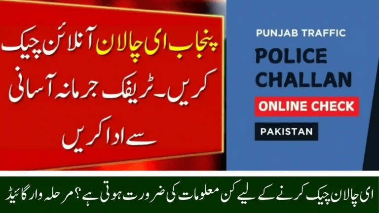 PSCA eChallan 2025 – How to Check & Pay Punjab Traffic Challans (Complete Guide)