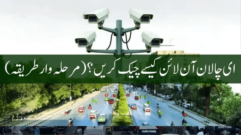 Punjab PSCA E-Challan System – Online Payment & Verification (2025 Guide)