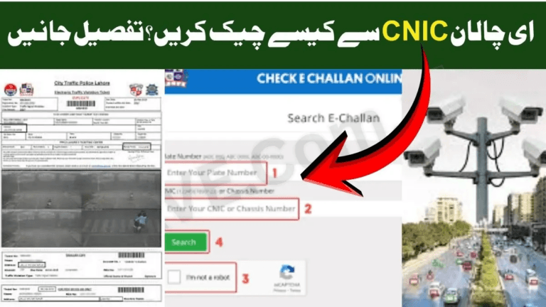 How to Check Punjab e-Challan by CNIC (December 2025 Complete Guide)