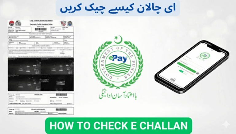 How to Check E-Challan in Pakistan (Updated 2025 Guide)