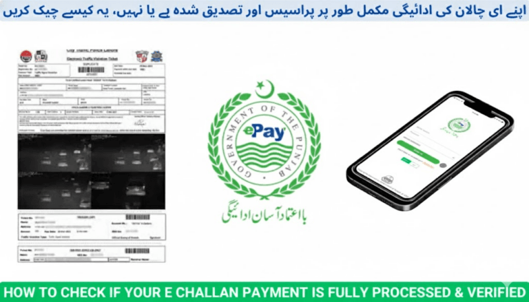 How to Check if Your E-Challan Payment Is Fully Processed and Verified (2025 Guide)